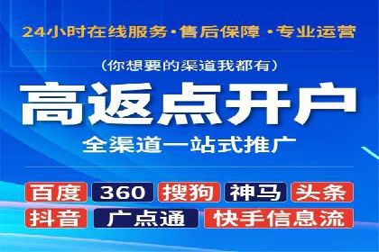 大型SEM服务公司案例分析